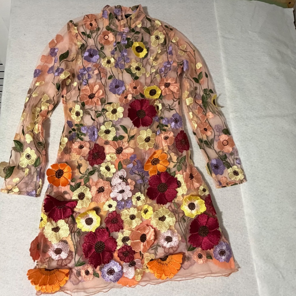 Finesse Floral Embroidered Sheer Mesh Mock Neck Mini Dress Peach Multi Size L